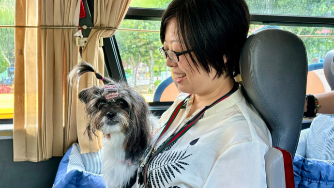 周末到，上车逗狗撸猫！小猫小狗专线又发车啦
