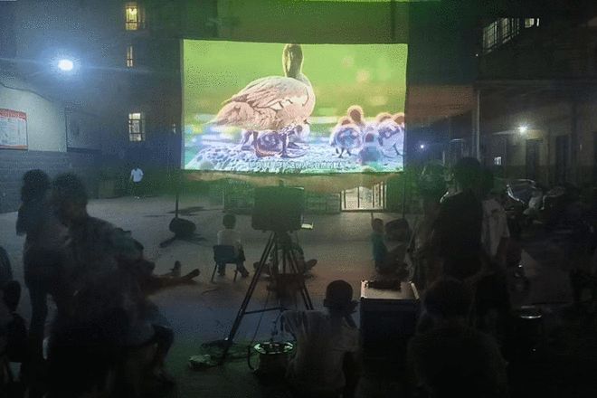 爱鸟护鸟 人人有责 ——宝鸡市凤翔区“映前十分钟”助力爱鸟护鸟