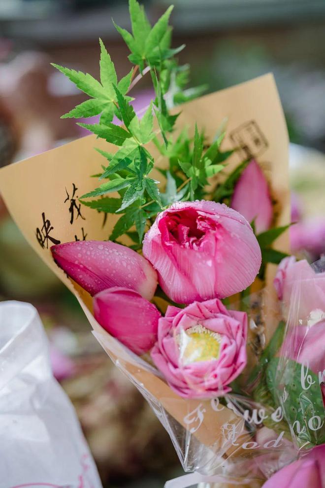 “荷”你相约，不止荷花市集