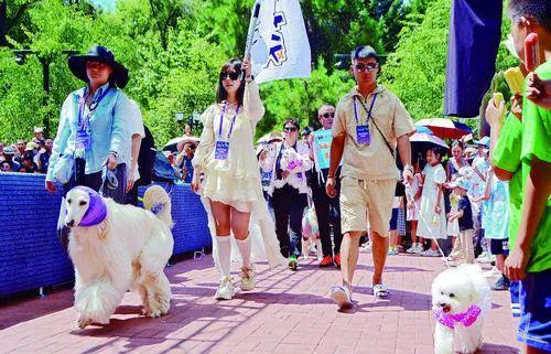 大东山水迎宾客 绿野萌踪聚奇缘 2025 吉林市公园主题宠物博览会盛大启幕