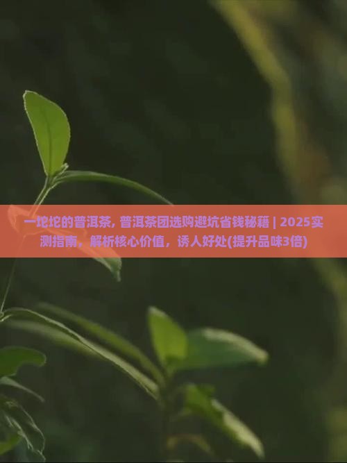 一坨坨的普洱茶