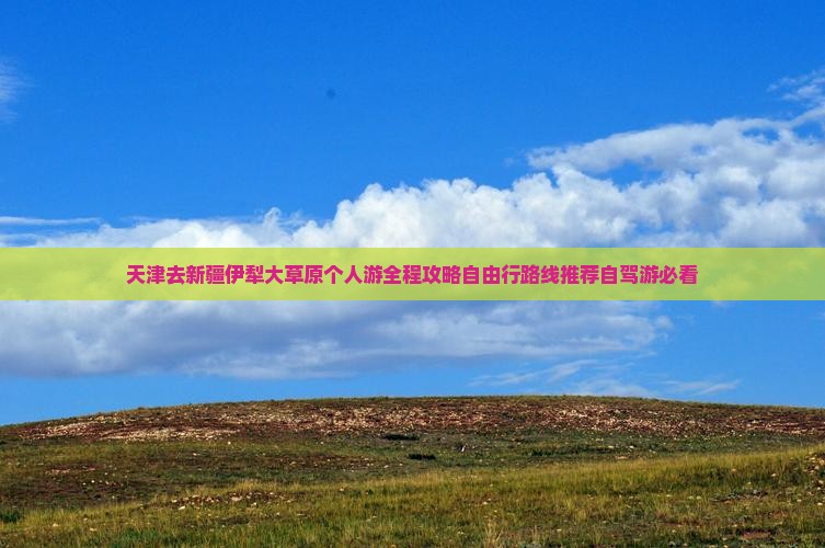 天津去新疆伊犁大草原个人游