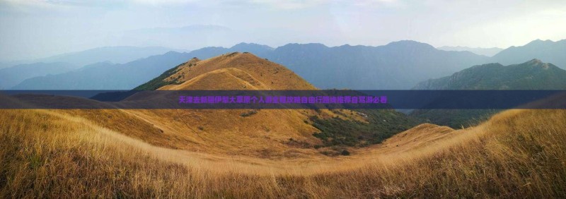 天津去新疆伊犁大草原个人游