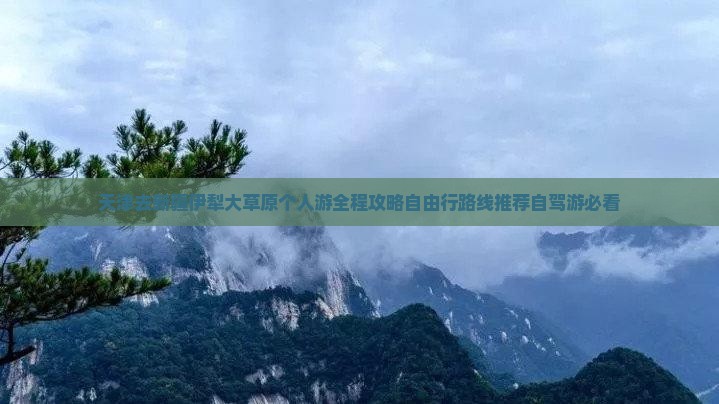 天津去新疆伊犁大草原个人游
