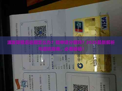 浦发降额逾期后能申请分期吗