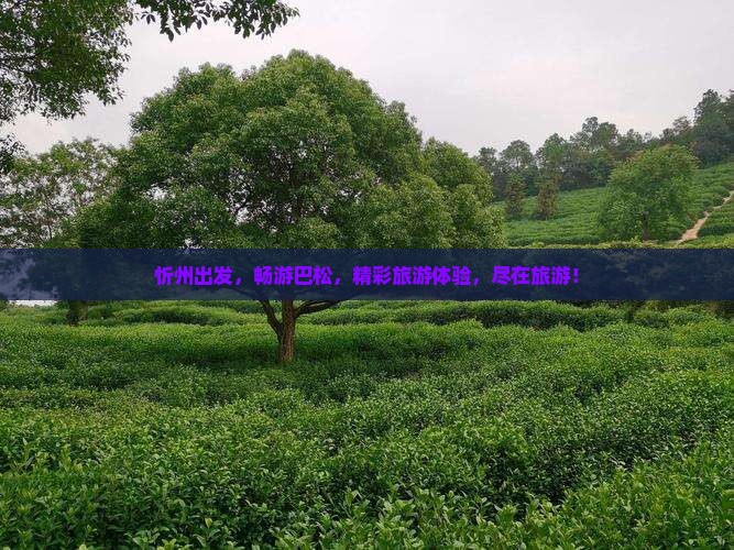 忻州出发，畅游巴松，精彩旅游体验，尽在旅游！