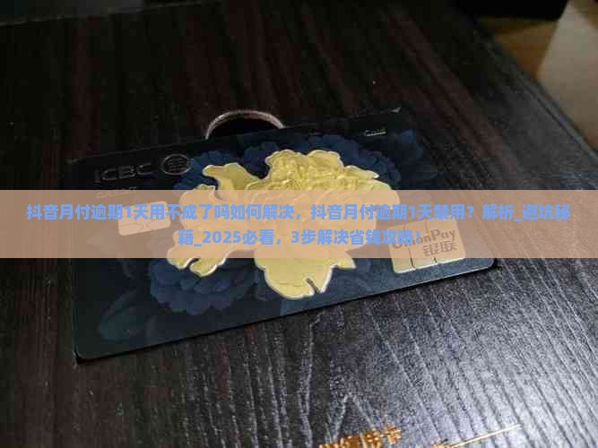 抖音月付逾期1天用不成了吗如何解决