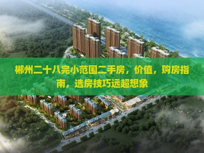 郴州二十八完小范围二手房
