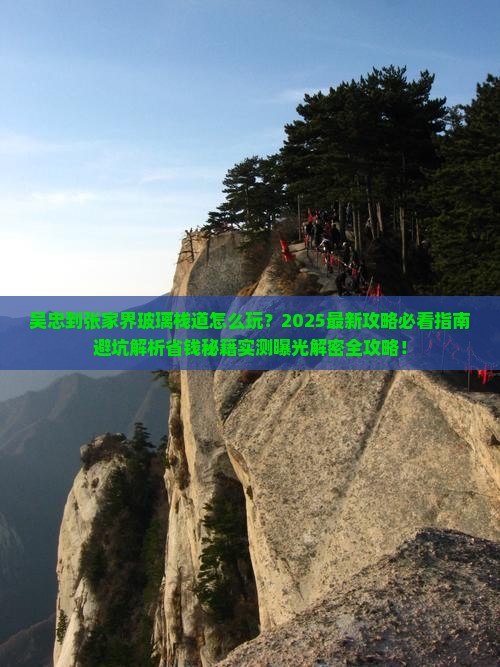 吴忠到张家界玻璃栈道旅行社