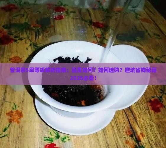 普洱茶5级等级解析指南：品质如何？如何选购？避坑省钱秘籍2025必看！