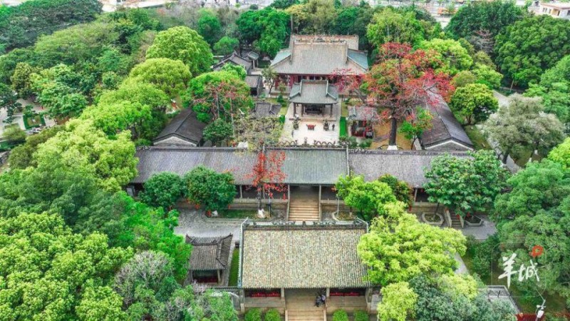 广州黄埔：“黄埔云帆”掀热潮，共赴千年海丝之约