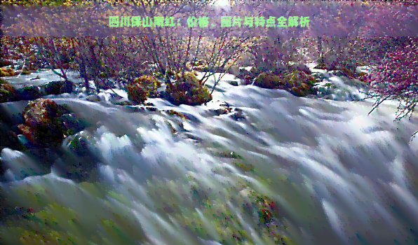 四川保山南红:价格、图片与特点全解析 四川保山南红:价格、图片与特点全解析