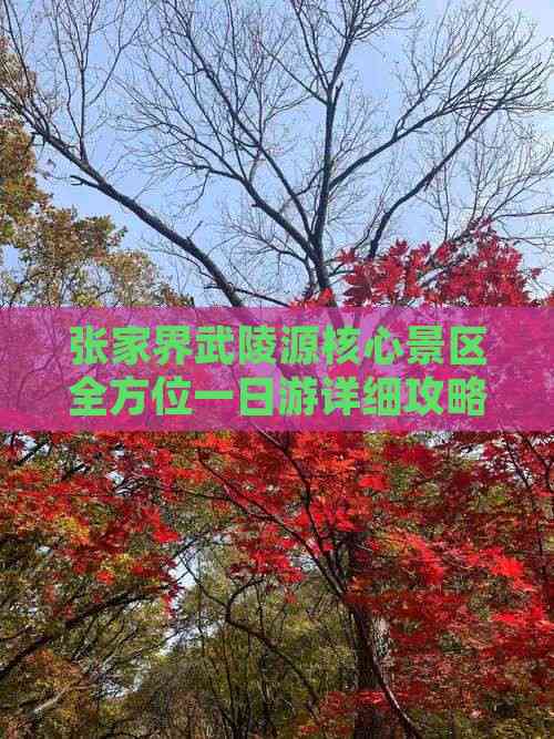 张家界武陵源核心景区全方位一日游详细攻略 张家界武陵源核心景区全方位一日游详细攻略