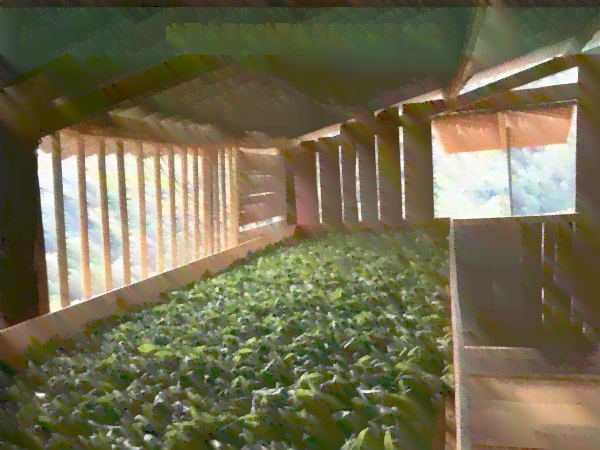 山西太原茶叶最出名的种类及介绍-普洱生茶熟茶